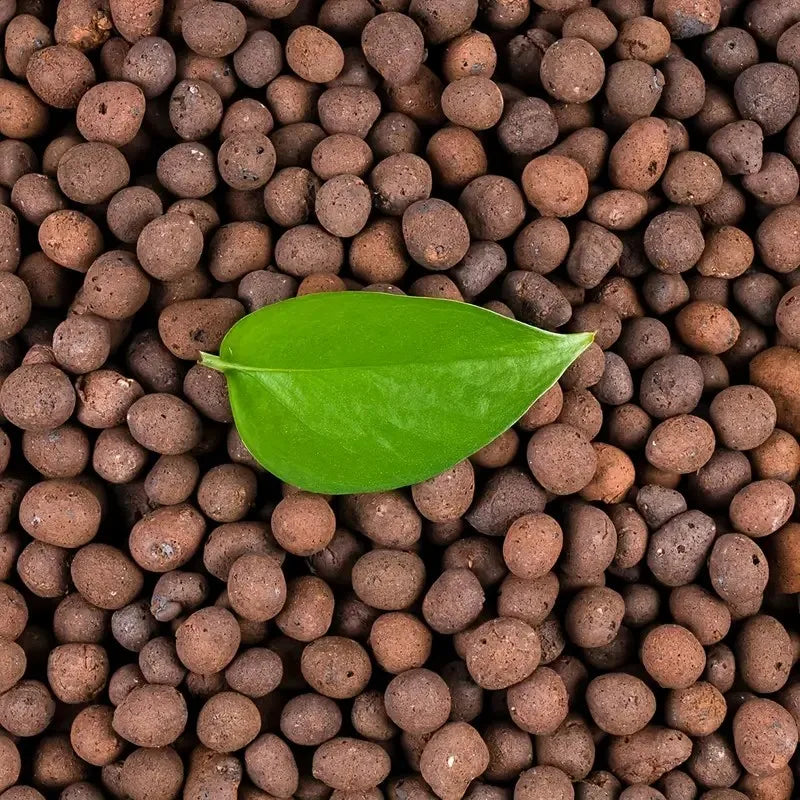 1LB Reusable Hydroponic Clay Pebbles - Lightweight Natural Clay Balls for Gardening & Plant Growing