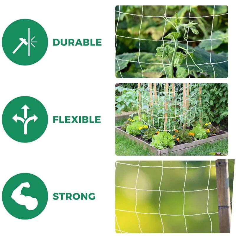 Heavy-Duty Polyester Plant Trellis Netting - Multi-Use Support for Vine Climbing, Hydroponics, Garden Accessories