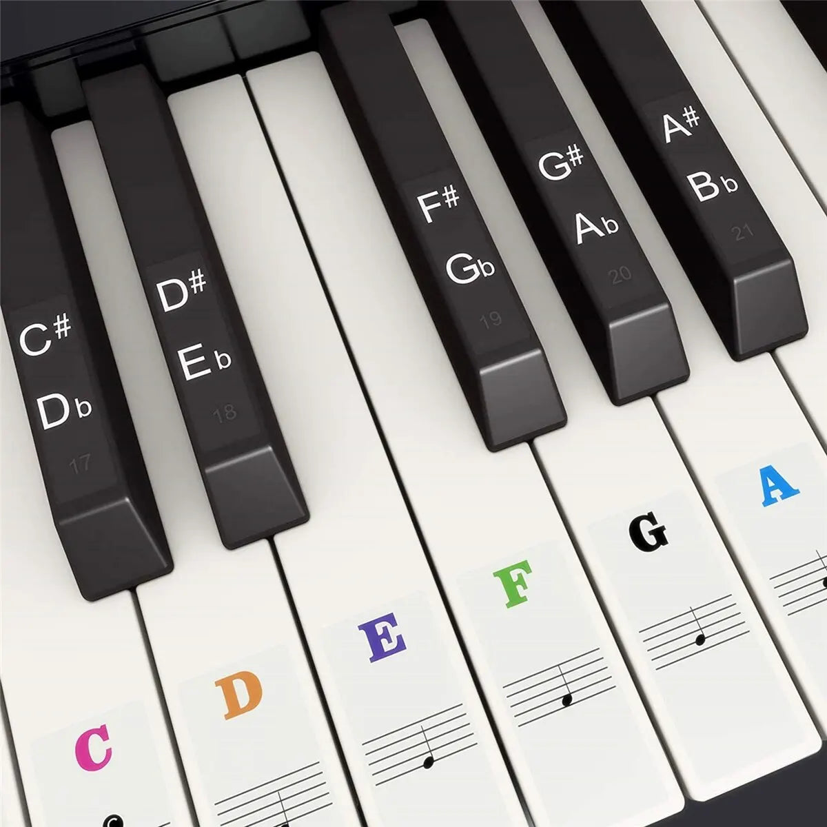 Piano Keyboard Note Stickers - Removable Music Key Labels for 37 49 54 61 88 Key Electronic Pianos & Keyboards