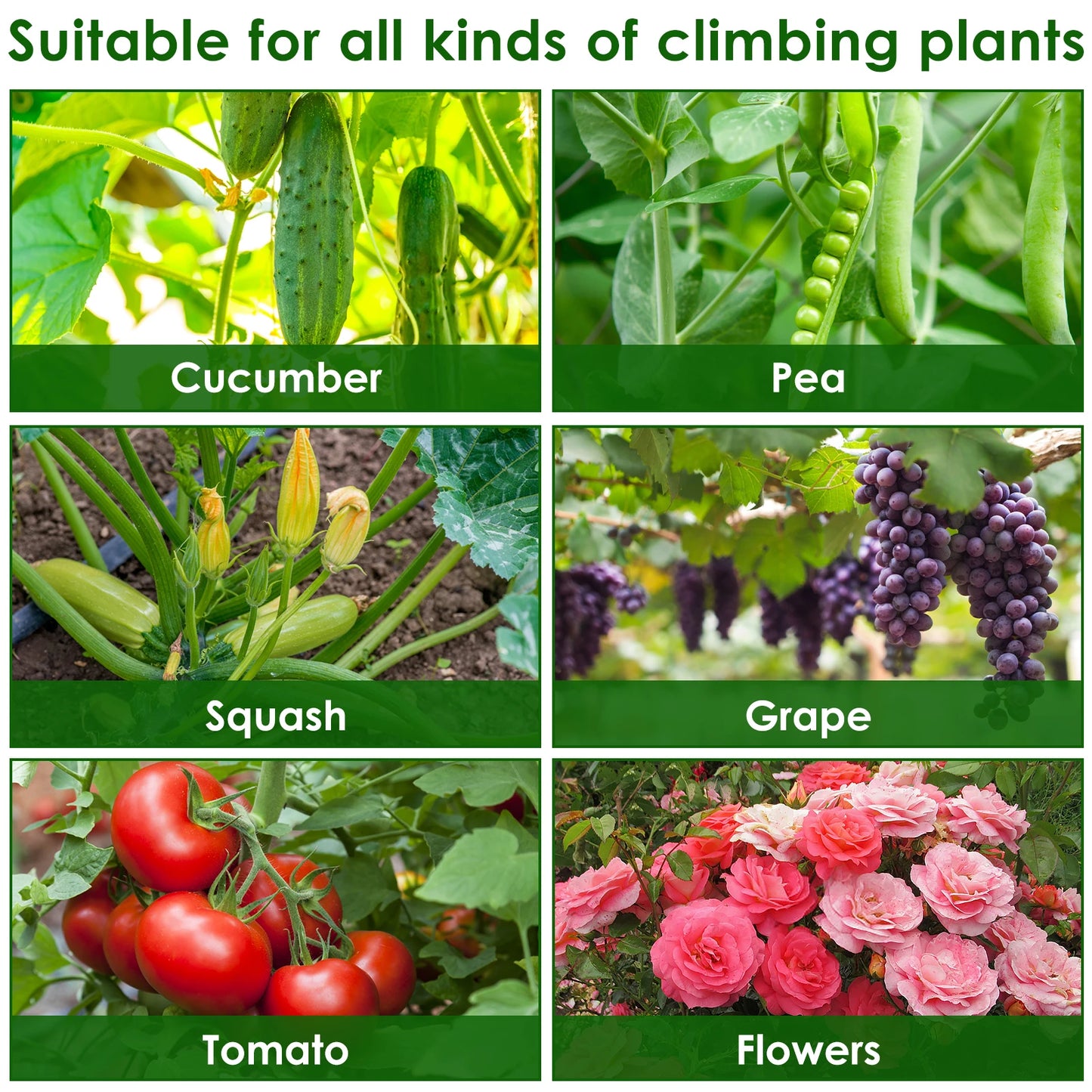 A-Frame Garden Trellis Kit - Rustproof Vegetable Climbing Support with Net for Cucumbers & Outdoor Plants