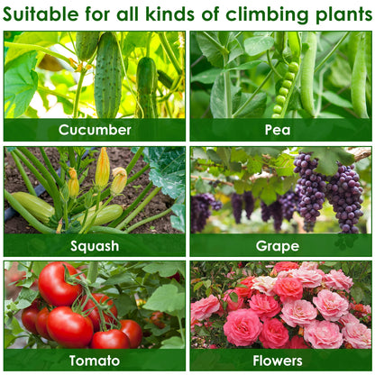A-Frame Garden Trellis Kit - Rustproof Vegetable Climbing Support with Net for Cucumbers & Outdoor Plants