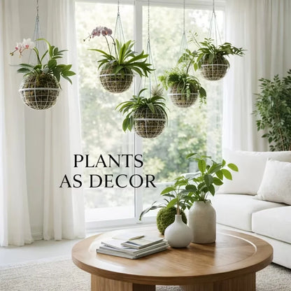 Wall-Mounted Plastic Planter Pot Set - Hanging Flower Pots for Succulents, Orchids, and Green Plants