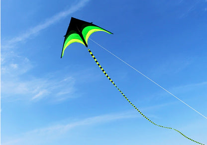 Large Decorative Show Kite - Professional Outdoor Wind Kite with Butterfly Snake Koi Design