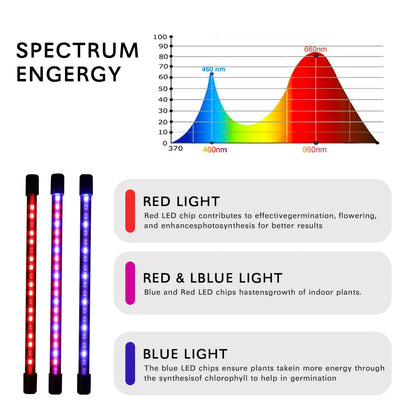 USB LED Plant Grow Light — Indoor Garden Full Spectrum Lamp with 10 Dimmable Levels, Timer Settings 3H/9H/12H for Hydroponic & Greenhouse Plants