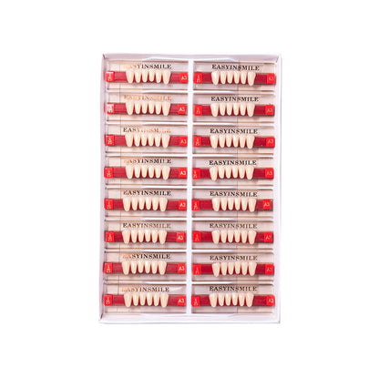 16/12 Set Dental Denture Teeth Model Kit, Upper & Lower Anterior Synthetic Polymer Teeth A2 A3 for Dental Education & Training