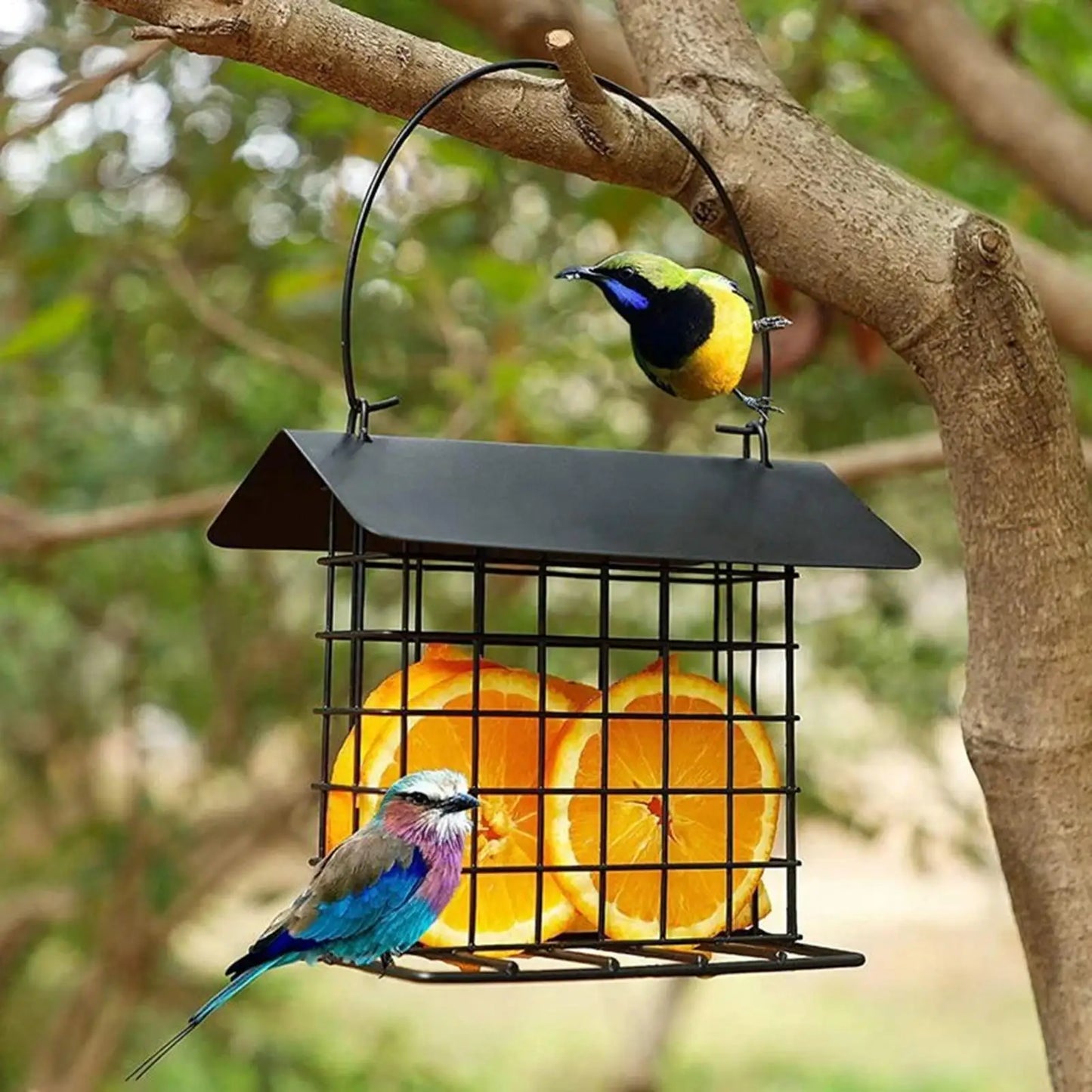 Outdoor Hanging Bird Feeder - Weatherproof Roof Bird Feeding Tray & Suet Feeding Station for All Bird Breeds