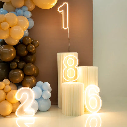 Numbers Neon Sign 0–9 – Acrylic LED Birthday, Wedding & Business Wall Decor with Switch