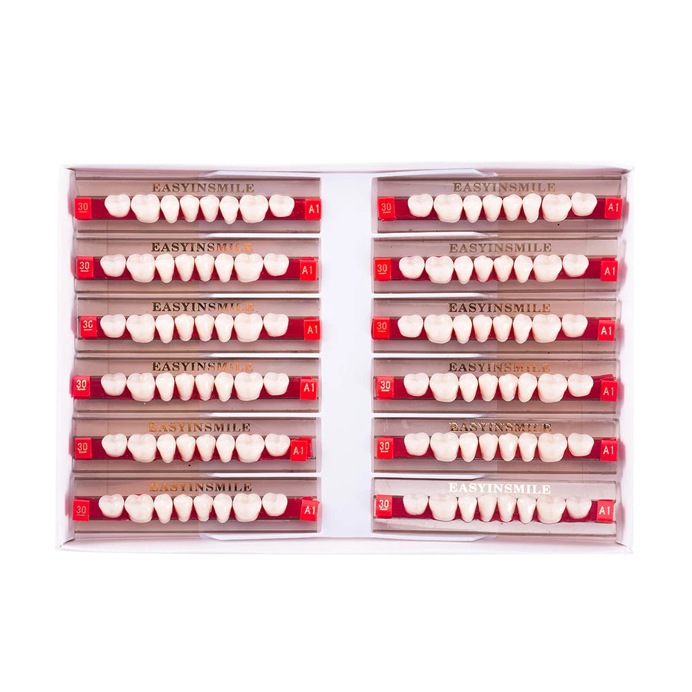 16/12 Set Dental Denture Teeth Model Kit, Upper & Lower Anterior Synthetic Polymer Teeth A2 A3 for Dental Education & Training