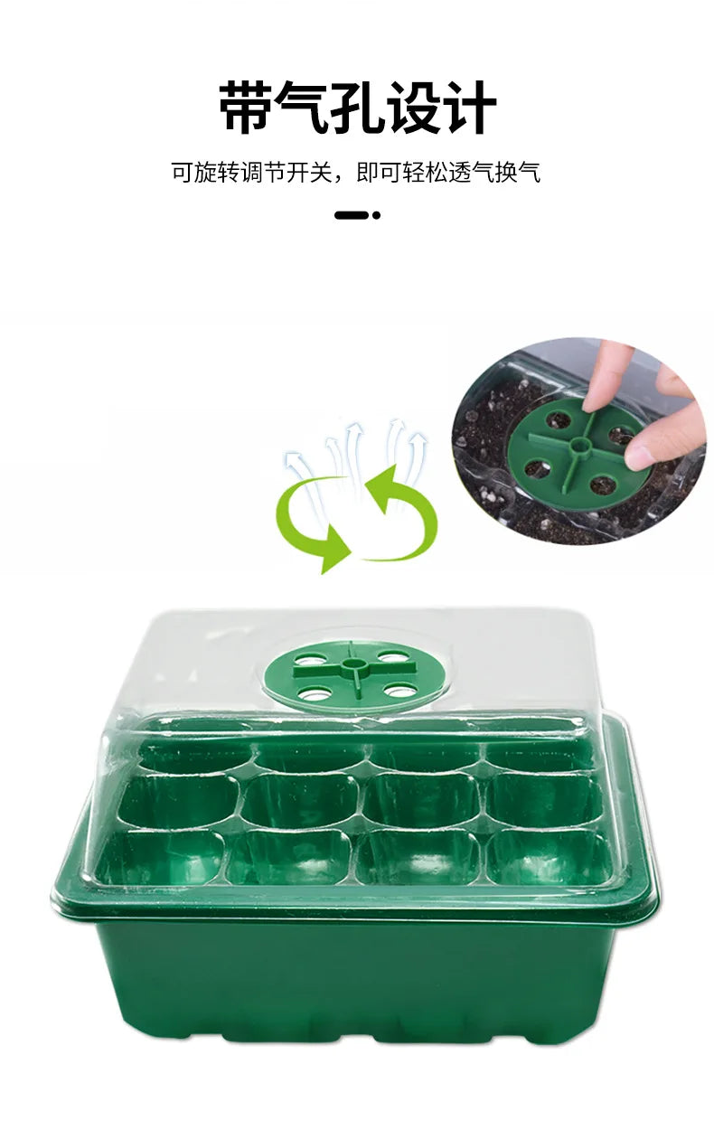 12-Well Plastic Seedling Tray | Insulated Pot for Succulent & Seed Sowing