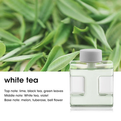 Automatic Fragrance Sprayer - USB Ambient Light, Wall-Mounted Aromatherapy Machine for Home & Commercial Use