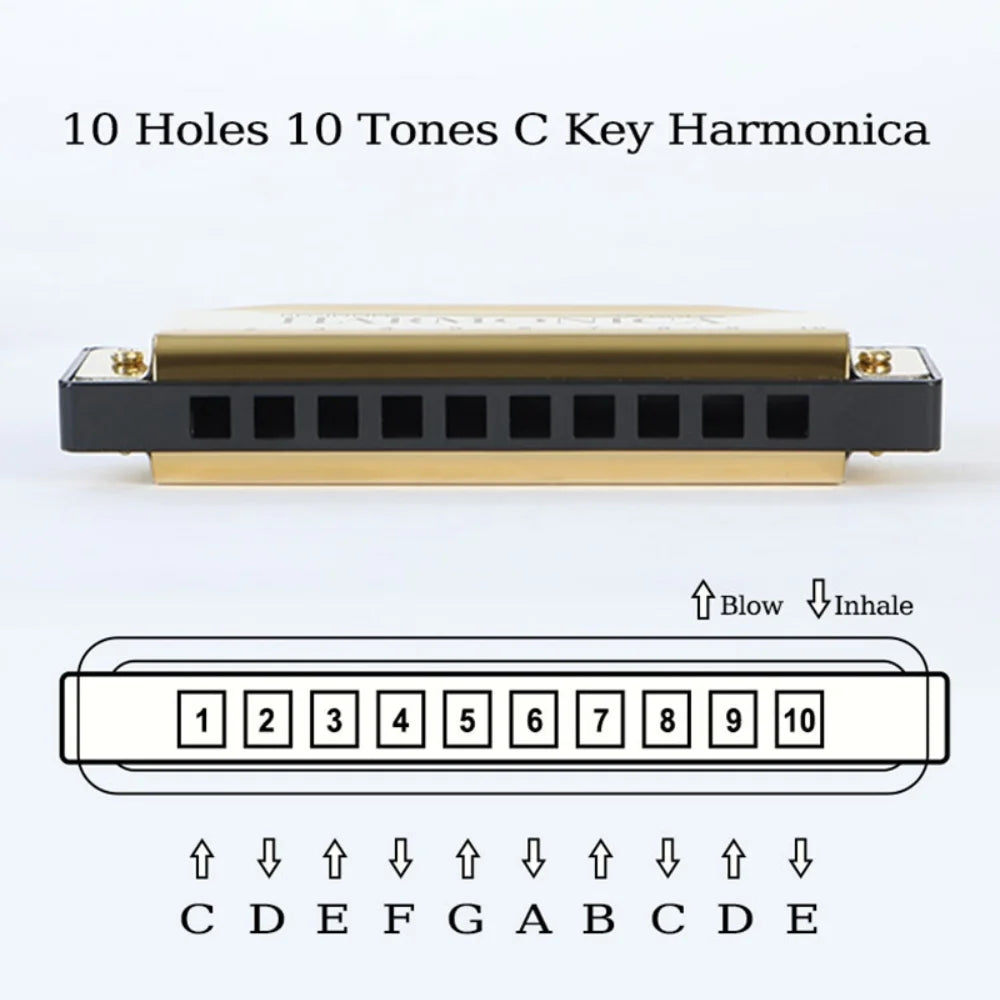 10 Hole Diatonic C Key Harmonica - Blues Harp Mouth Organ Musical Instrument with Storage Case for Beginners & Adults