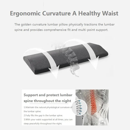 JFLEGAL Thailand Natural Latex Lumbar Pillow – Maternity Pillow for Pregnant Women, Side Sleep Support & Cervical Care