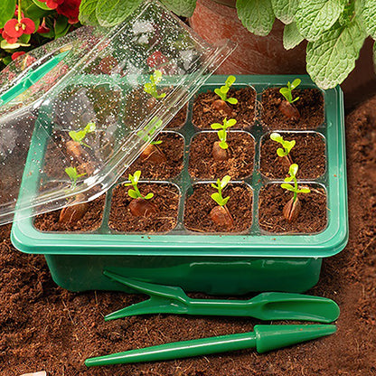 LED Grow Light with 6/12-Hole Seed Starter Trays — Indoor Plant Germination & Seedling Growing Box