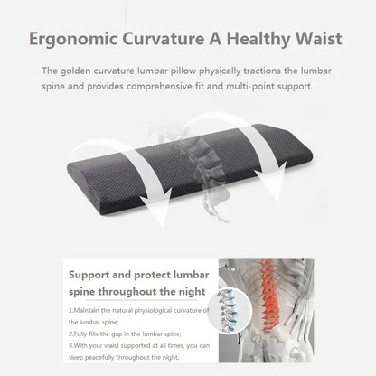 JFLEGAL Thailand Natural Latex Lumbar Pillow – Maternity Pillow for Pregnant Women, Side Sleep Support & Cervical Care