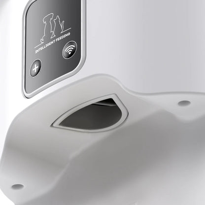4L WiFi Smart Pet Feeder – Automatic Cat & Dog Food Dispenser (No 5V 1A Plug)
