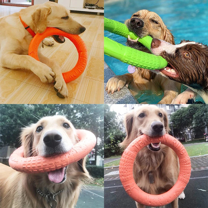 Dog Toy Training Ring Puller and Flying Disk – Interactive Chewing Toys for Puppies | Outdoor Game Supplies