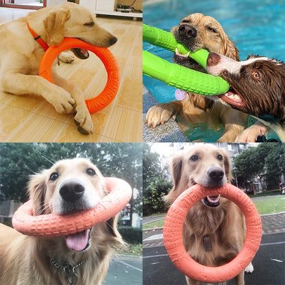 Dog Toy Training Ring Puller and Flying Disk – Interactive Chewing Toys for Puppies | Outdoor Game Supplies