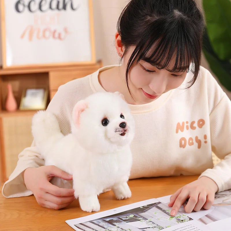 Realistic Pomeranian Plush Toy - Cute Soft Stuffed Puppy for Kids, Girls, Xmas Gifts & Home Decor