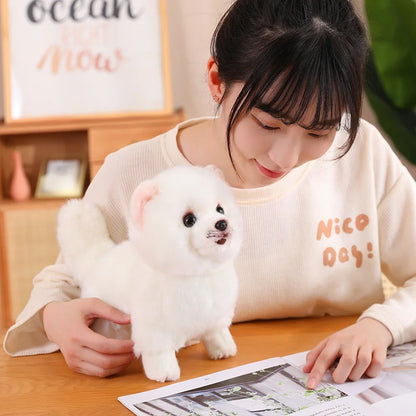 Realistic Pomeranian Plush Toy - Cute Soft Stuffed Puppy for Kids, Girls, Xmas Gifts & Home Decor