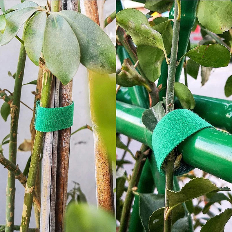 3 Rolls Green Garden Twine Plant Ties - Nylon Plant Bandage with Hook Loop for Bamboo Cane Wrap Support - Garden Accessories