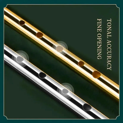 Miwayer Authentic Irish Tin Whistle Flute – C/D Key Penny Whistle with 6 Holes for Traditional Irish Music