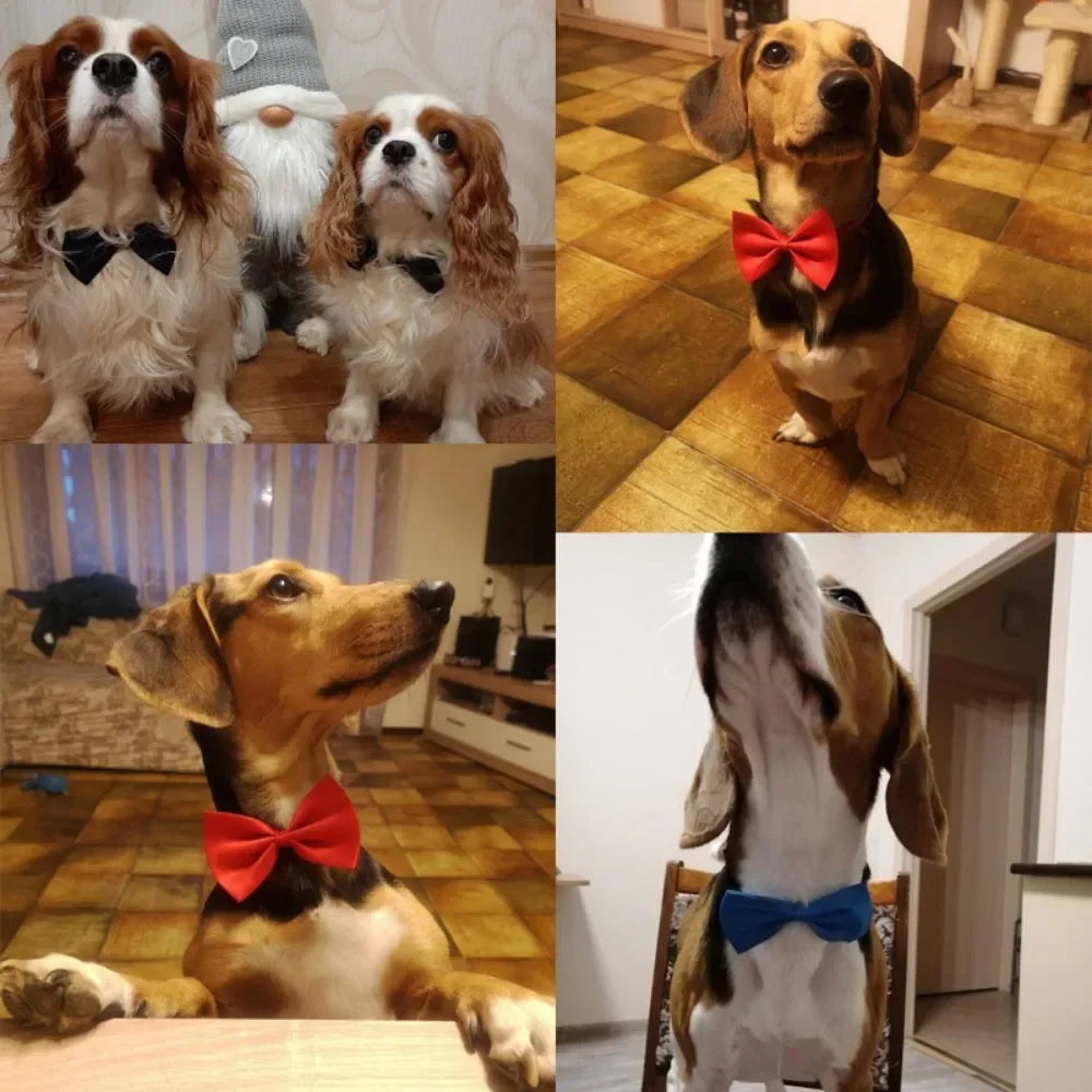 Adjustable Pet Bow Tie Necklace Collar – Cute Puppy & Cat Necktie Grooming Accessories for Dogs & Cats Pet Supplies