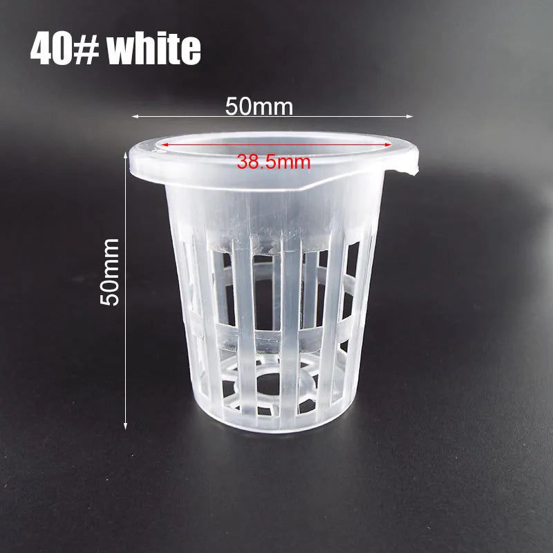 50pcs Hydroponic Mesh Net Baskets — Soilless Plant Nursery Cups for Veggie & Clone Growth