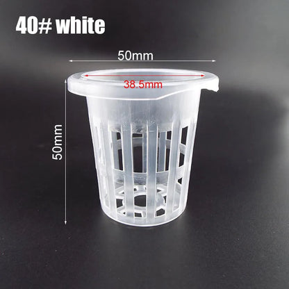 50pcs Hydroponic Mesh Net Baskets — Soilless Plant Nursery Cups for Veggie & Clone Growth