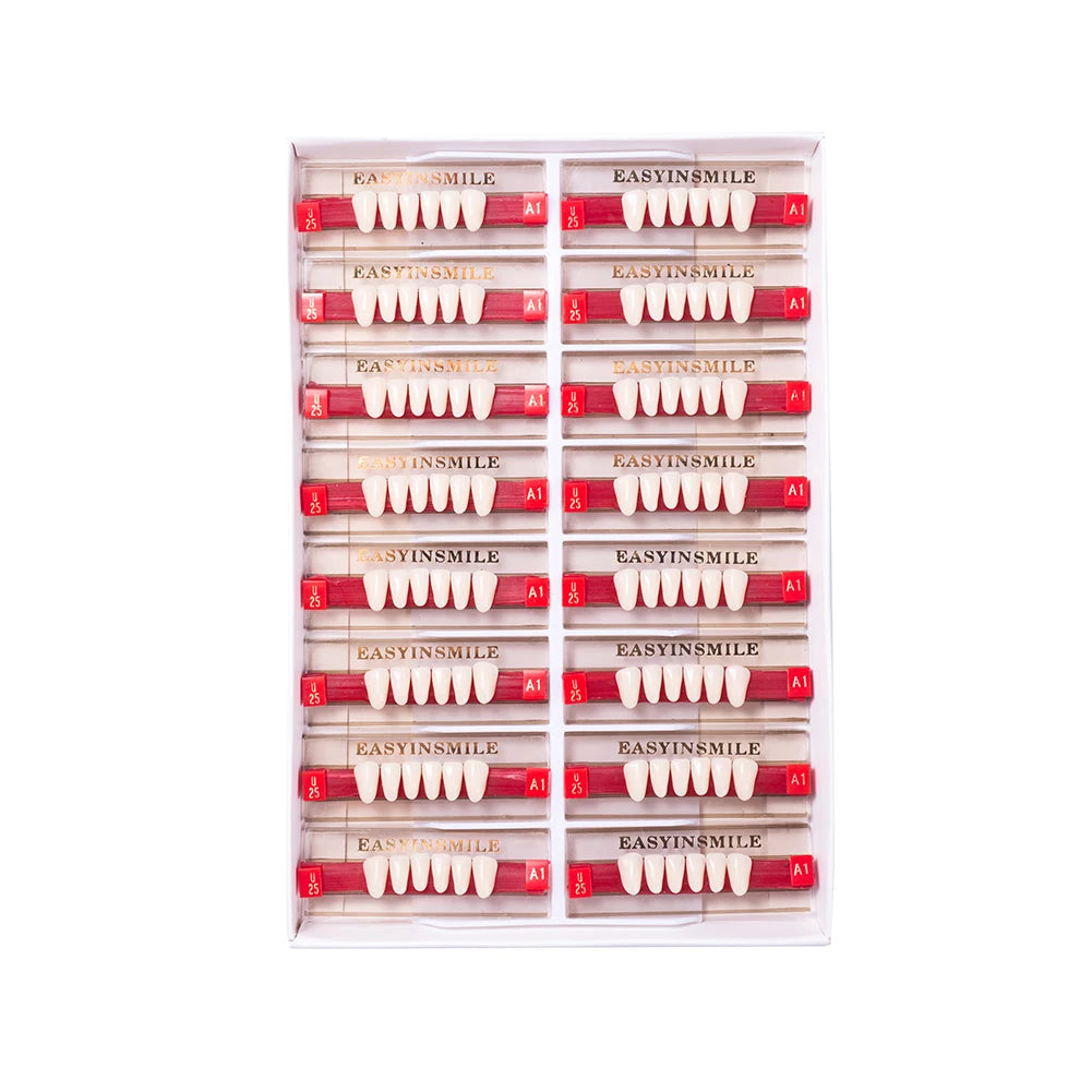 16/12 Set Dental Denture Teeth Model Kit, Upper & Lower Anterior Synthetic Polymer Teeth A2 A3 for Dental Education & Training
