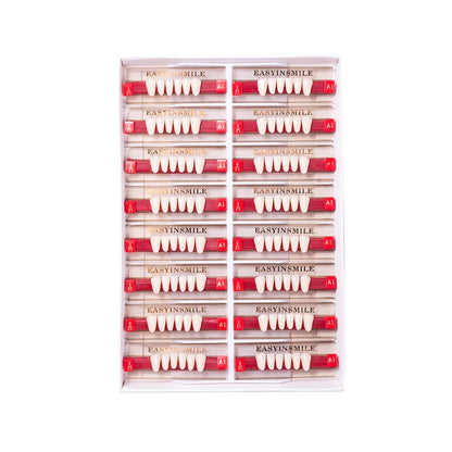16/12 Set Dental Denture Teeth Model Kit, Upper & Lower Anterior Synthetic Polymer Teeth A2 A3 for Dental Education & Training