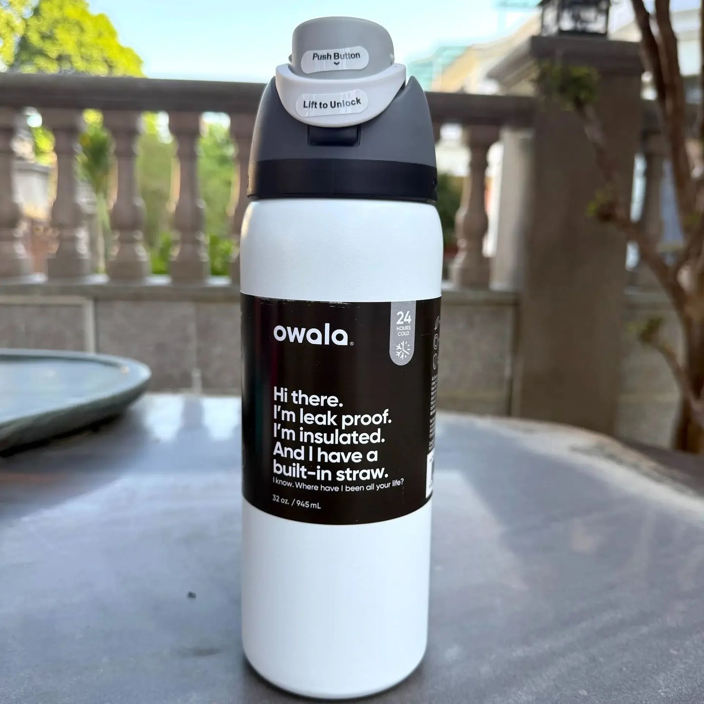 32oz Insulated Stainless Steel Water Bottle with Straw – BPA-Free Sports Bottle, Perfect for Travel