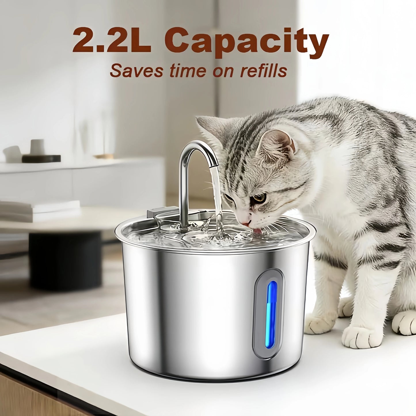 Automatic Cat Water Fountain - Stainless Steel Dog & Cat Water Dispenser with Filter