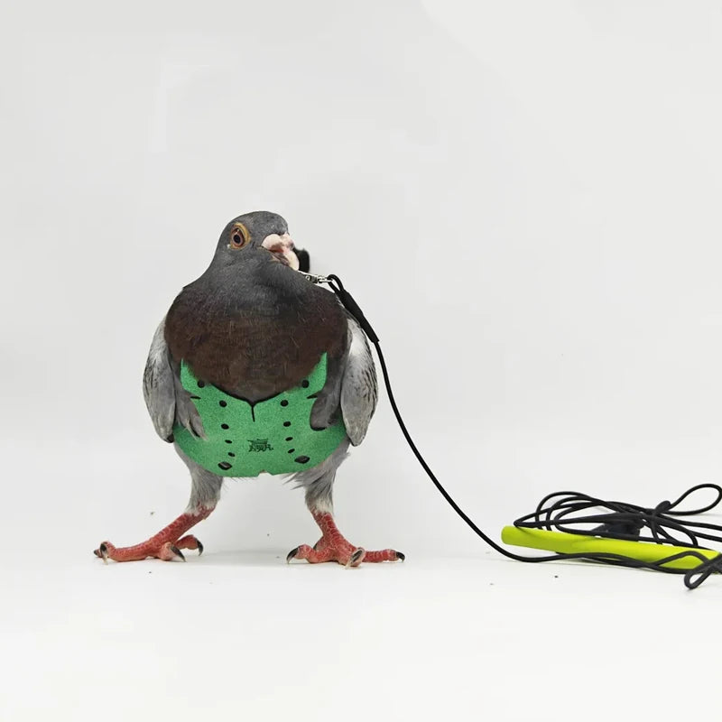 Parrot Bird Harness & Leash - Anti-Bite Flying Training Rope for Outdoor Use