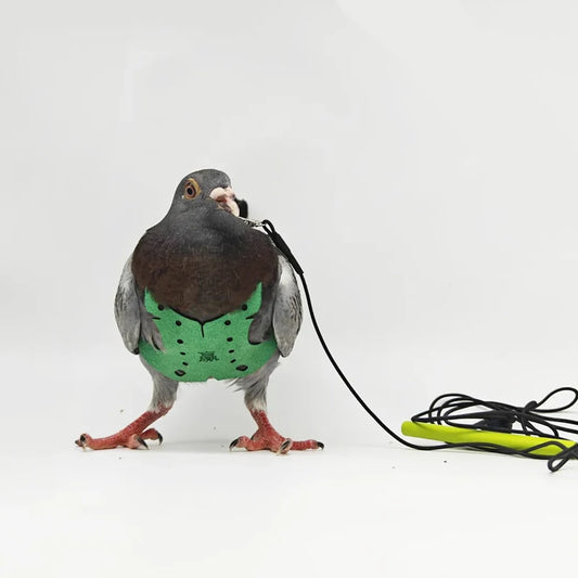 Parrot Bird Harness & Leash - Anti-Bite Flying Training Rope for Outdoor Use
