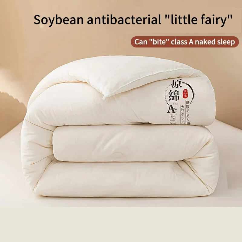 Raw Cotton Soybean Quilt – Thickened Spring, Autumn & Winter Bedding for Extra Warmth