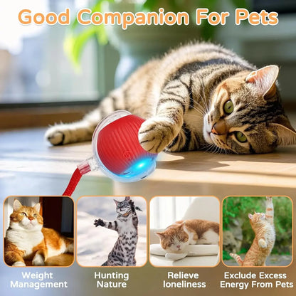 iLMH Smart Cat Interactive Ball Toy - Rechargeable Automatic Rolling Mouse Toy with Faux Tail for Pet Training & Play
