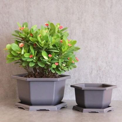 Hexagon Flower Pots – Succulent Box Planter, Plant Container for Home & Office Decor
