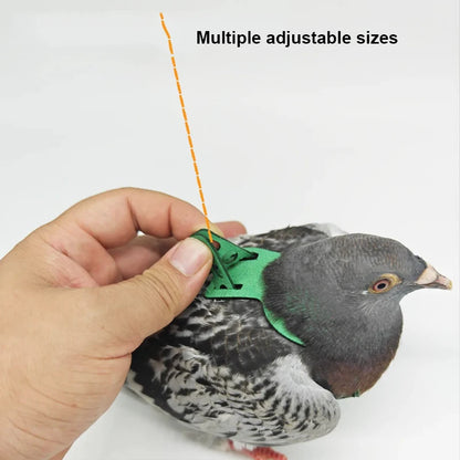 Parrot Bird Harness & Leash - Anti-Bite Flying Training Rope for Outdoor Use