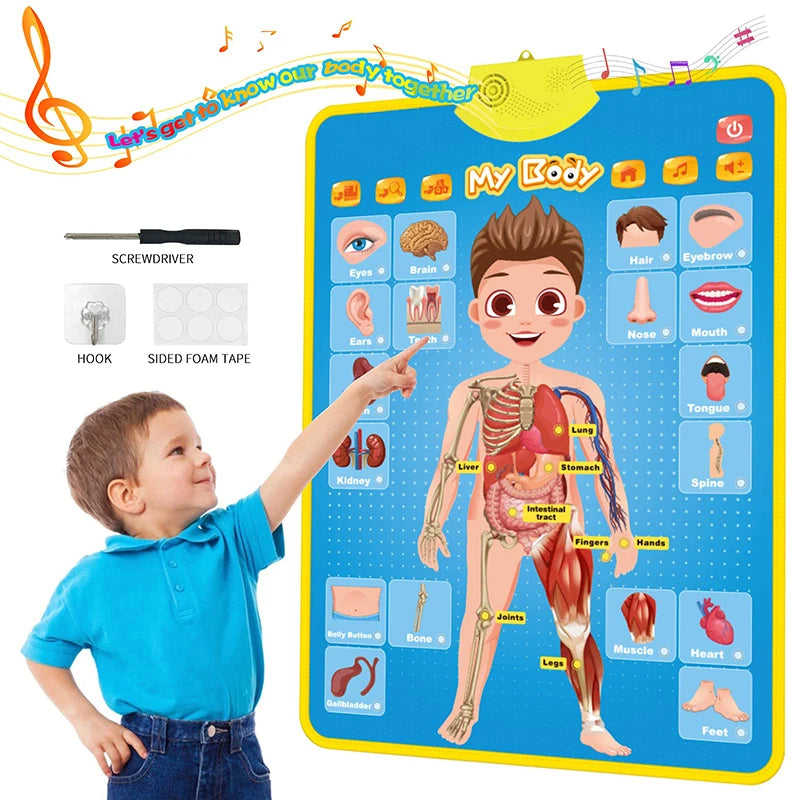 Electronic English Alphabet Wall Chart — Talking ABC & 123 Music Poster, Educational Learning Toy for Toddlers & Kids Gift