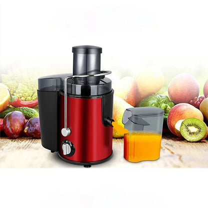 Stainless Steel Centrifugal Fruit Juicer – 800W Powerful Motor, Large Mouth for Fruits & Vegetables, Easy to Clean