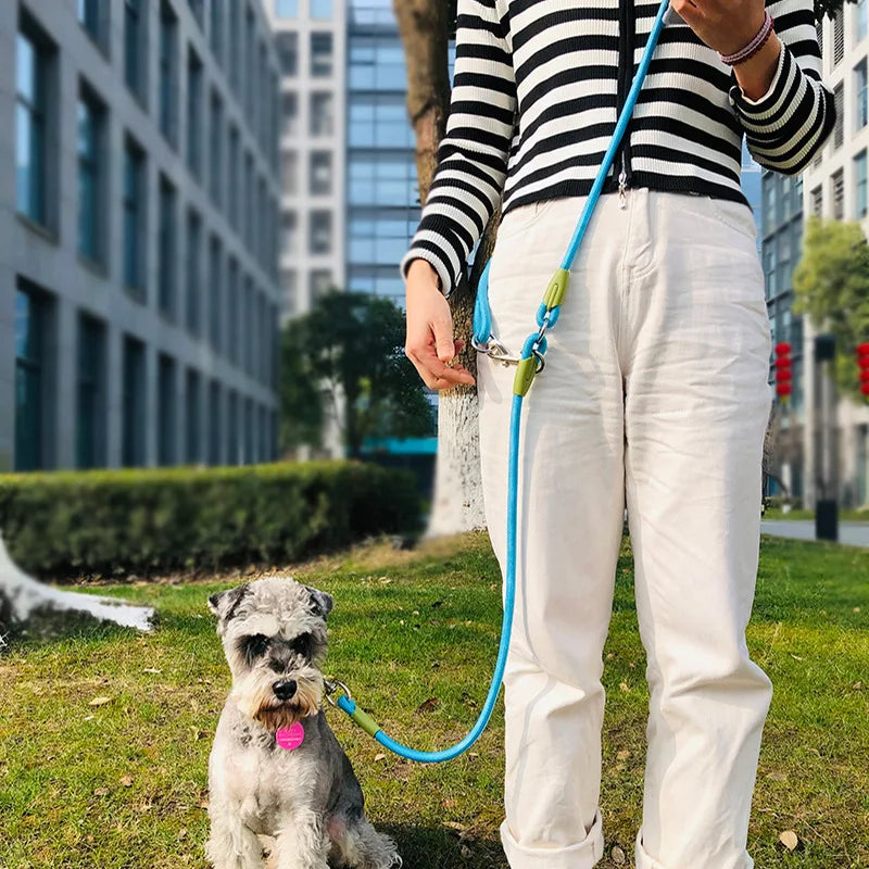 Reflective Nylon Dog Leash – Hands-Free Running & Walking Rope Lead for Small to Large Dogs