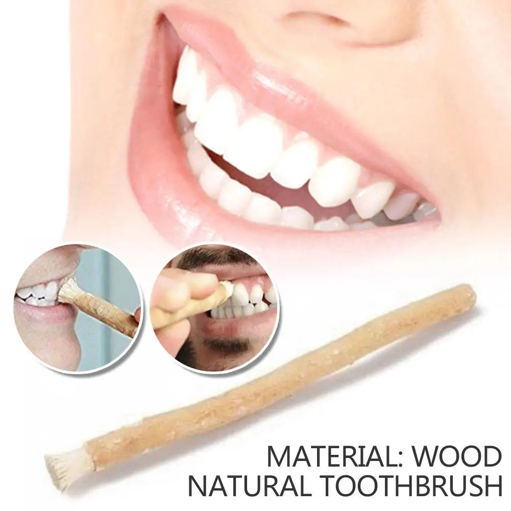 Natural Miswak Siwak Toothbrush - Traditional Arak Stick Manual Teeth Cleaning & Travel Oral Care Tool