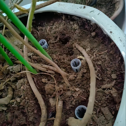 Plant Drainage Pipes - Root Ventilation Tubes to Prevent Rot & Improve Soil Drainage (10/20 PCS)