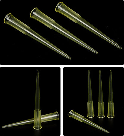 Laboratory Micropipette Tips — Disposable Plastic Pipette Tips 10µL, 200µL, 1000µL, 5mL, 10mL for Scientific Experiments