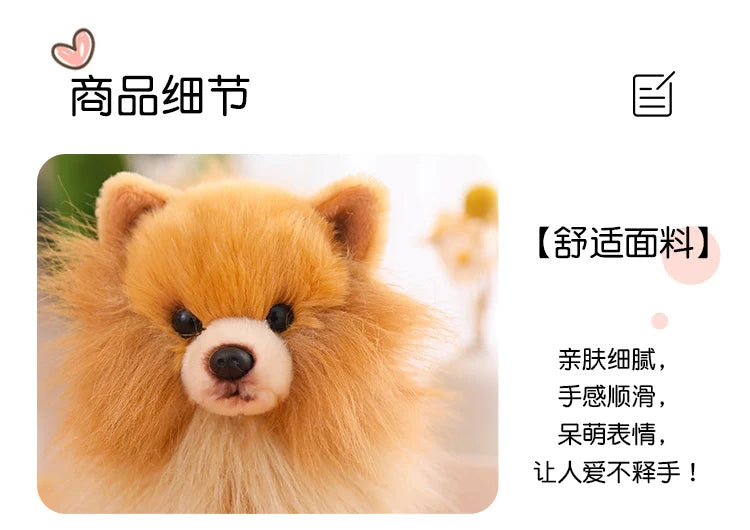 Realistic Pomeranian Plush Toy - Cute Soft Stuffed Puppy for Kids, Girls, Xmas Gifts & Home Decor
