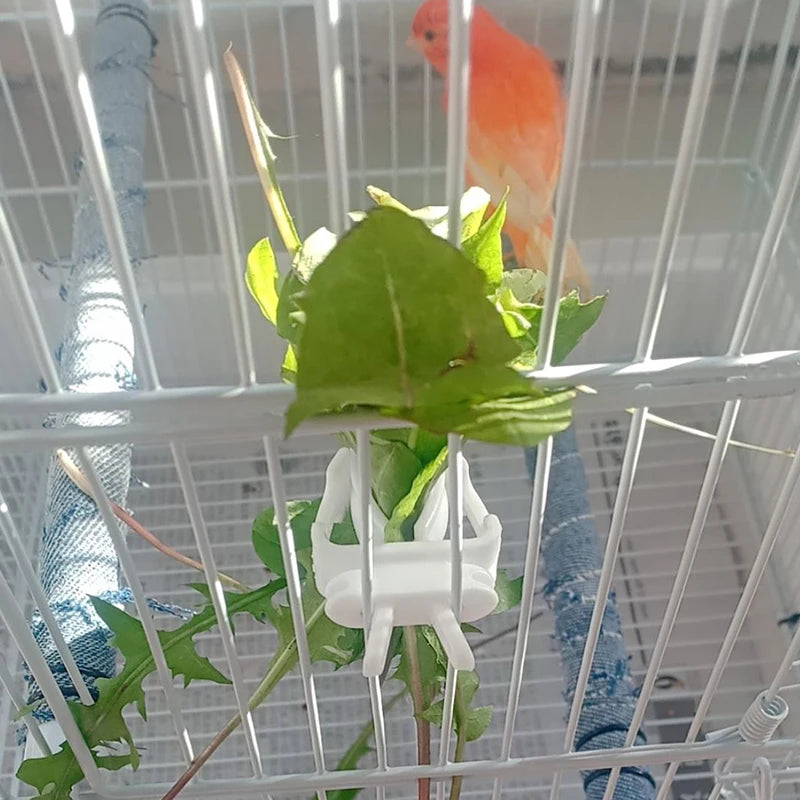 Cute Small Pet Bird Food Holder: Parrot Fruits Vegetables Clip with Cuttlefish Bone Feeder Device - Bird Cage Accessories for Oiseaux