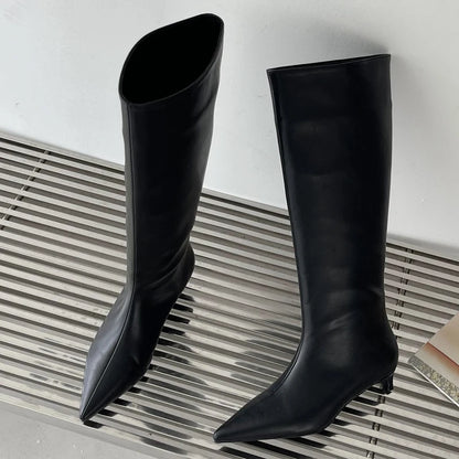 Aneikeh 2025 Fashion Sexy Pointed Low Heel Knee-High Boots – Women's Spring/Autumn PU Western Party Boots (Size 35-40)