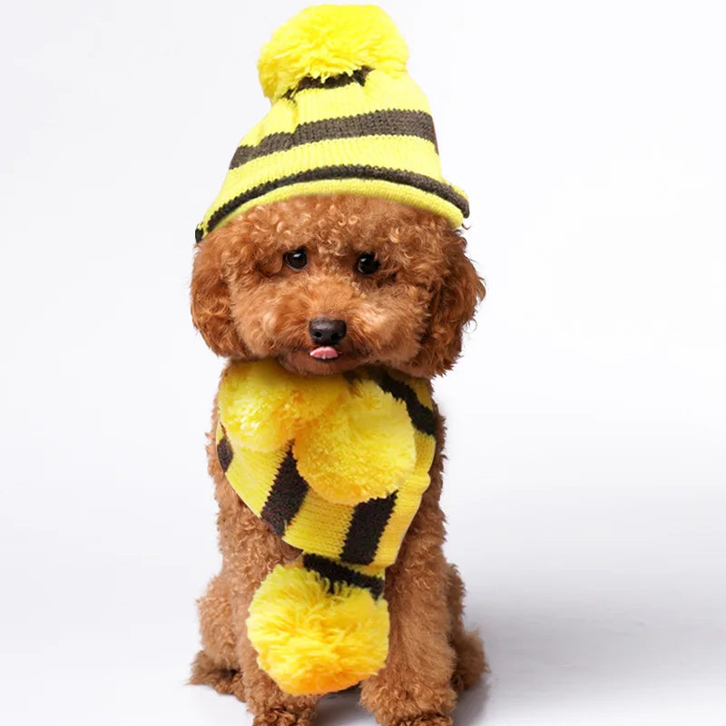 Winter Knitted Pet Accessories Set – Striped Hat, Scarf & Socks for Small Dogs, Puppies & Cats