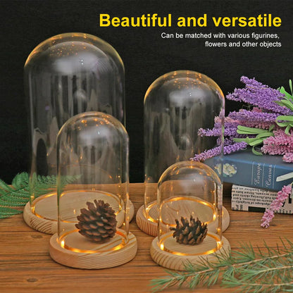 Glass Dome with Wooden Base & LED Light – Terrarium Vase, Flower Holder, Landscape Container for Bedroom Decor & Birthday Gifts