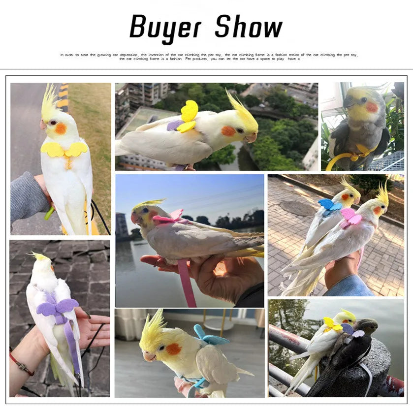 Adjustable Parrot Bird Harness Leash Set: Anti-Bite Training Gear for Outdoor Flying - Cockatiel and Small Birds Supplies